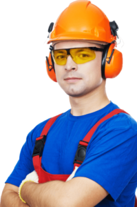 Tree Surgeon Ipswich