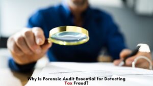 forensic audit