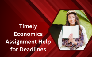 economics assignment help