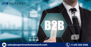 Germany B2C E-Commerce Market