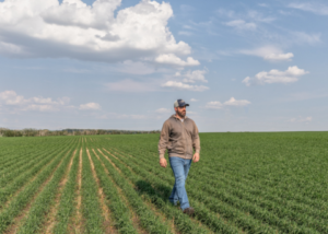 crop protection products