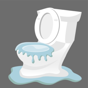 Clogged Camper Toilet