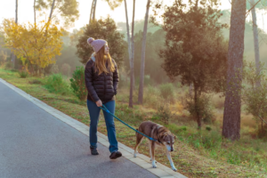 top dog walking companies new orleans