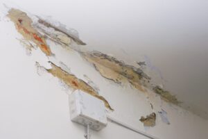 Water damage restoration