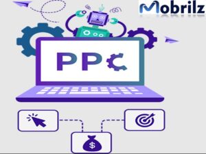 Pay Per Click Management Services India