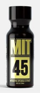 MIT