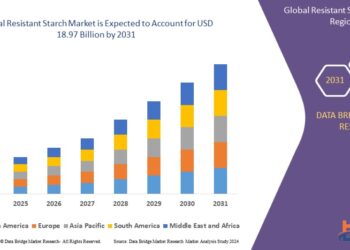 Resistant Starch Market Gains Global Traction with Increased Focus on Gut Health and Functional Foods