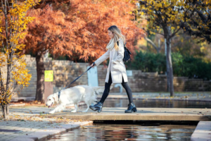 Best Dog Walkers in New Orleans