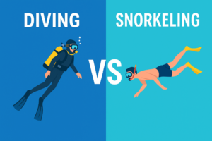 Snorkeling vs. Diving: Which Is Better for Your Next Ocean Adventure?