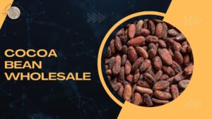 Cocoa Bean Wholesale