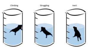 Depression Behavior Tests
