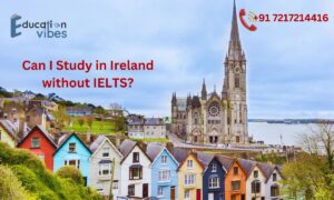What are the admission requirements for international students in Ireland universities