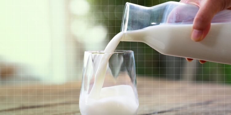 Organic Whole Milk