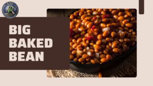 big baked bean