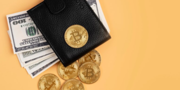 defi wallet services usa
