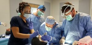 implant courses