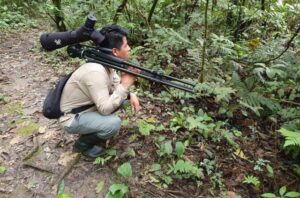 amazon jungle tours