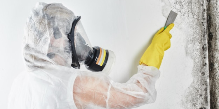 A person wearing a protective suit, mask, and gloves scrapes mold off a white wall with a metal tool during mold testing.