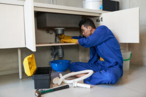 drain cleaner