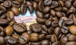 Honduras coffee