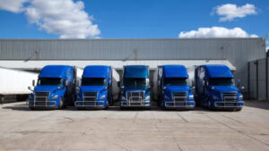 motor carrier look up