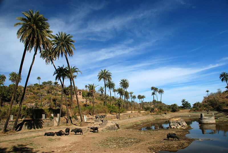 Planning Your Visit to Mount Abu