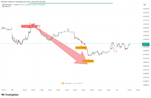 Birbull Tracxn