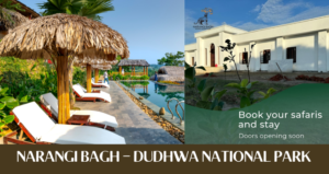 Luxury Homestay