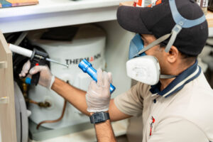pest control point cook