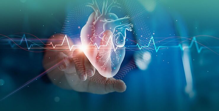 Best Cardiologist in Mumbai: Expert Heart Care You Can Trust at Curis Life